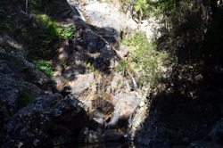 Baxter Creek Falls