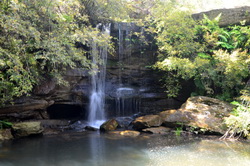 Curl Curl Creek Waterfalls