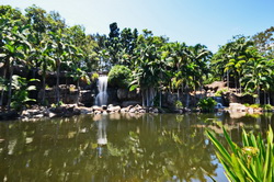 Kershaw Gardens Waterfalls