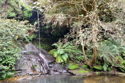 Lyrebird Dell Waterfall
