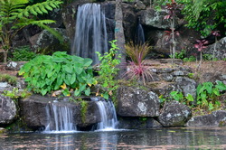 Maleny Gardens Waterfalls