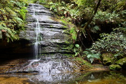 Pool of Siloam Waterfall