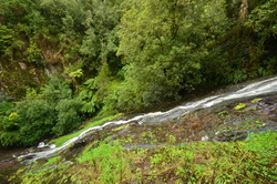 Tarra Falls
