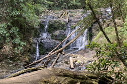 Casuarina Falls
