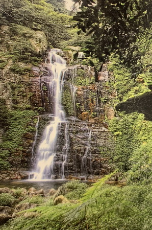Minnamurra Falls