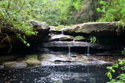 Moores Creek Waterfalls