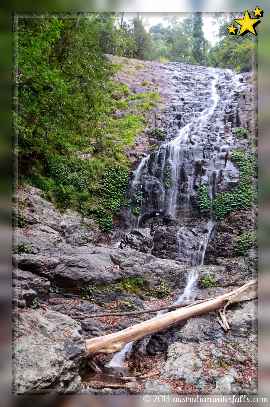 Tristania Falls