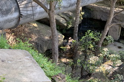 Yowie Gully Waterfall